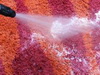 Carpet cleaning with water