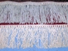 Fringe changing on carpets