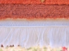Fringe whiteing on carpets