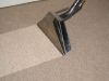 Vacuum cleaning and shaking