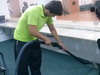 Vacuum cleaning and shaking