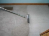 Vacuum cleaning and shaking