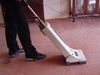 Vacuum cleaning and shaking
